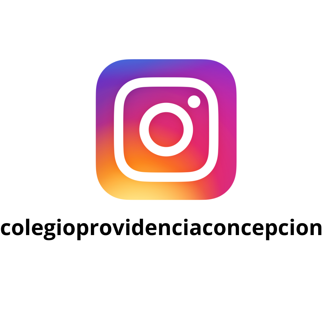colegioprovidenciaconcepcion (2)